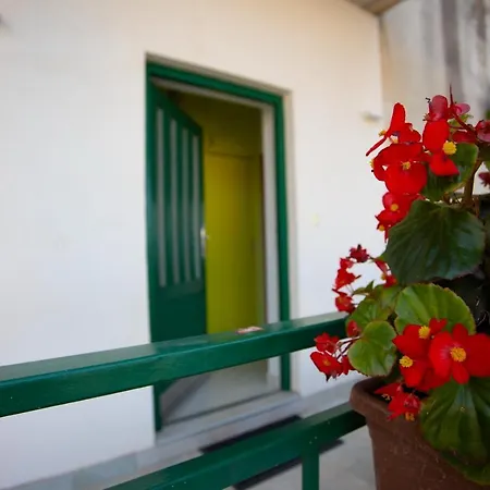 Nola * Podgora